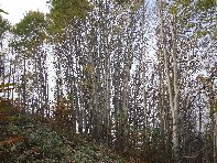 nte Fontane-201011107 028